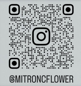 mitroncflower Instagram QRコード